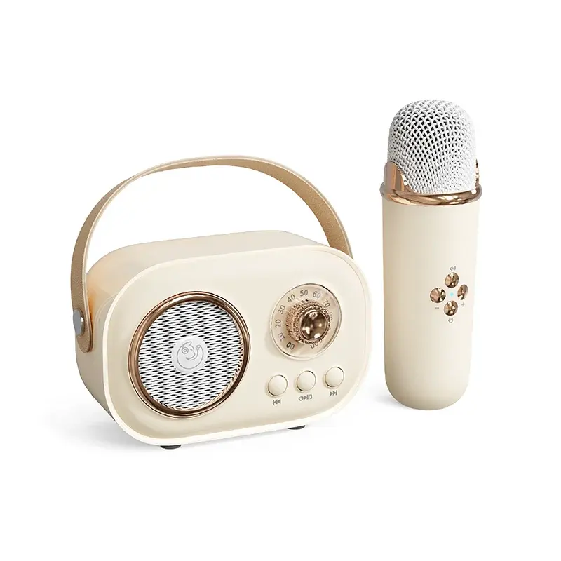 Moda Mini taşınabilir retro BT hoparlör özel karaoke kablosuz mikrofonlu hoparlör ve BT