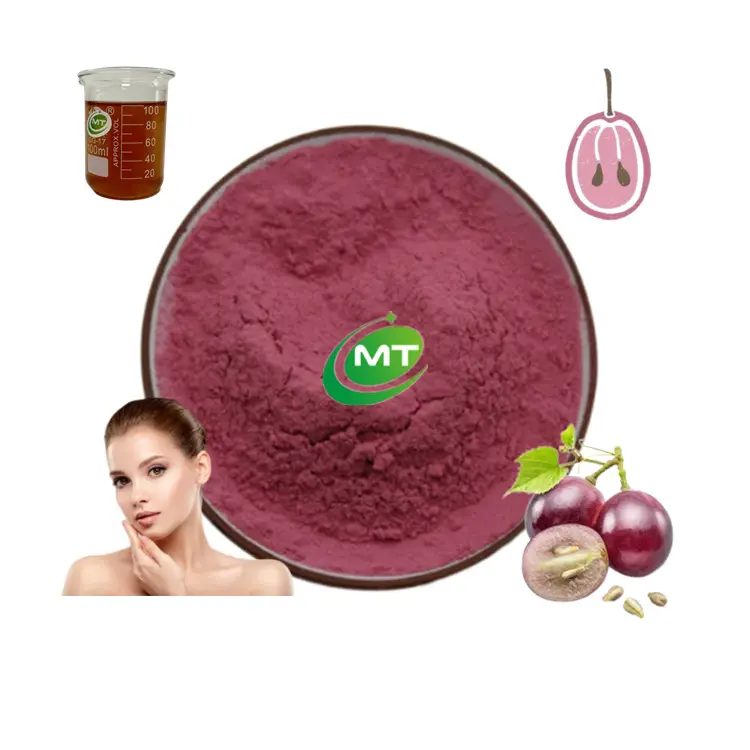 Good Price Cheap Fast Shipping High Purity Supplement Free Sample 95%OPC Grape Seed Extract