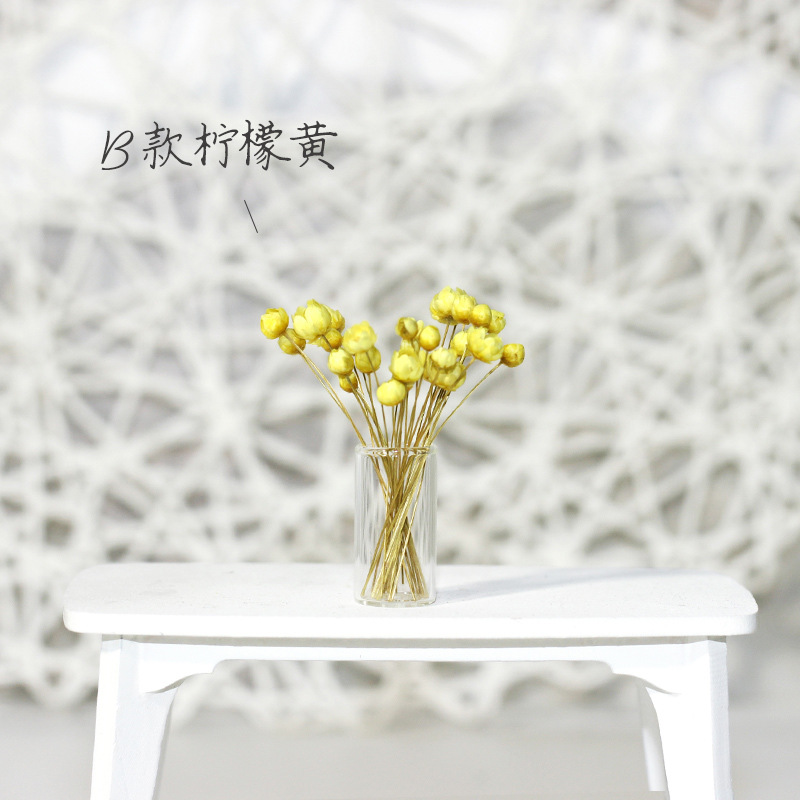 Flor de estrella amarilla limón tipo B + botella de vidrio