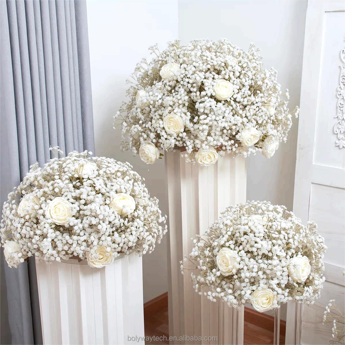 Gypsophila bianca
