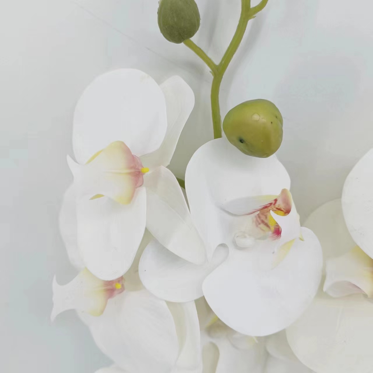 BLANCO