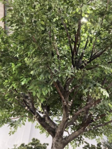 Custom Indoor Large Decorative Banyan <strong>Trees</strong> <strong>DIY</strong> Natural-Looking Fake Ficus Branch Trunk 3m to 6m Fiberglass Banyan <strong>Tree</strong> - Product Image 3