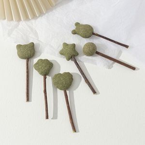 Catnip Polygonum Lollipop Cat Teeth Stick Limpieza de dientes Catnip Toys Venta al por mayor Juguete interactivo para gatos - Product Image 1