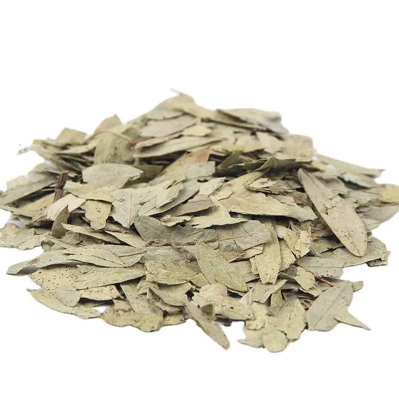 100% naturel approvisionnement d'usine détox amincissante à base de plantes feuilles de Senna séchées naturelles extrait de thé pour la Constipation