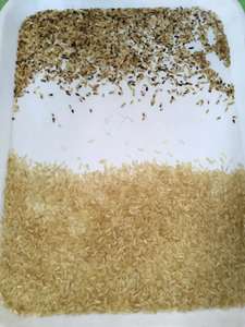 Mini selezionatrice di colori per riso e smistamento di cereali multipli con wi-fi e funzione di assistenza remota - Product Image 3