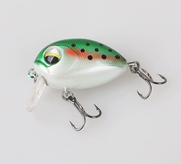 Point noir vert orange