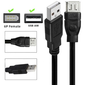 用于数码相机的火线IEEE 1394 6针母至USB 2.0 AM公适配器电缆延长线 - Product Image 2