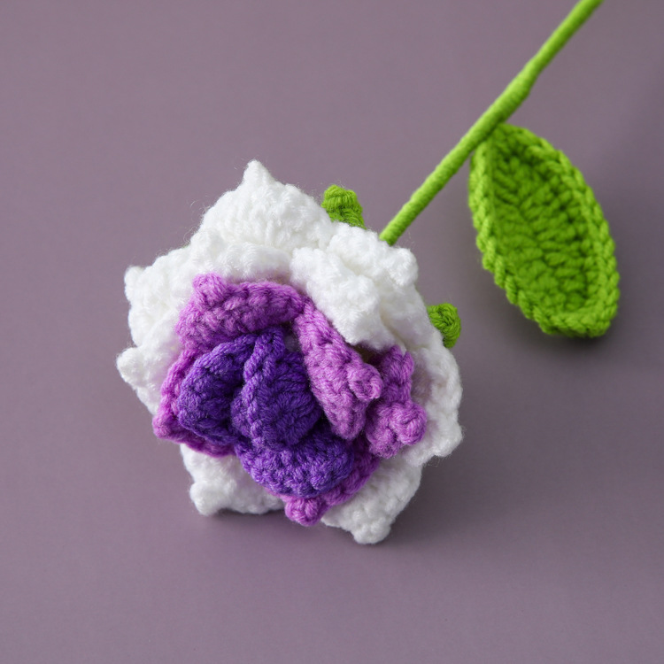 Pourpre dégradé