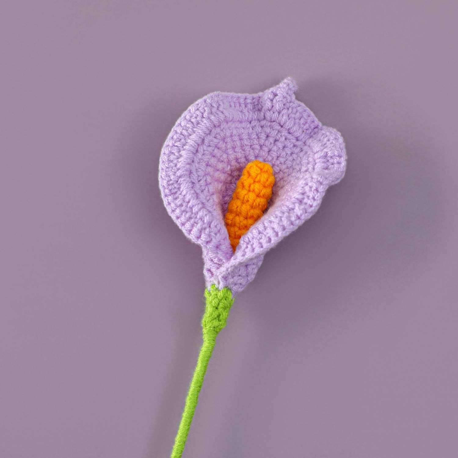 Pourpre