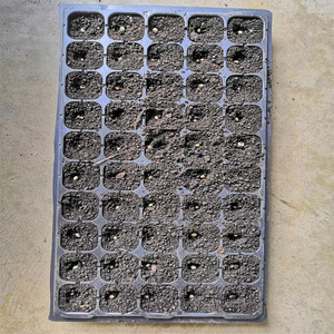 New Condition Manual <strong>Automatic</strong> Seed Planter Tray Machine Hand Push Parsley Seeder for Agriculture and Farm <strong>Use</strong> - Product Image 3