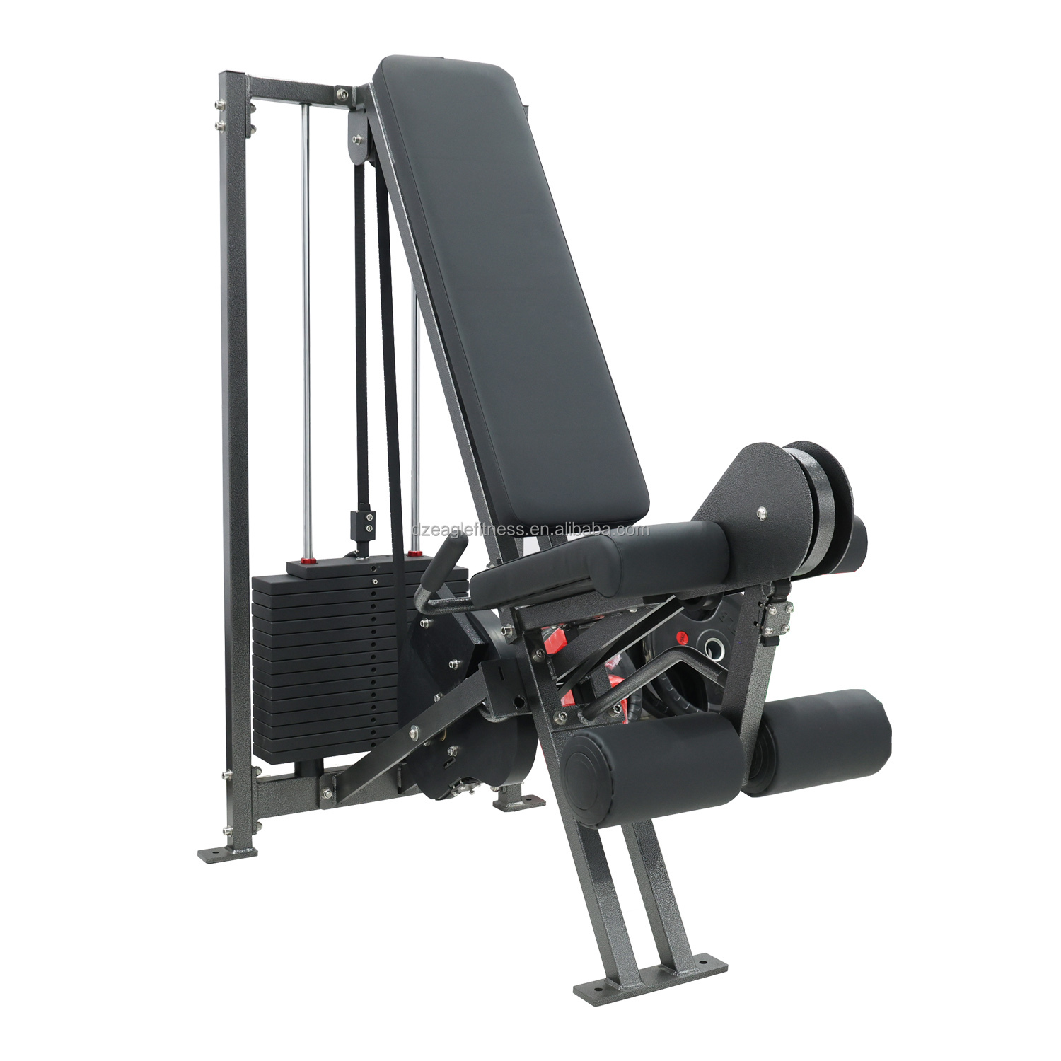 Extension de jambe/curl de jambe assis noir