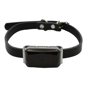 GPRS gps gsm模块gps跟踪手机gps跟踪器sim卡带跟踪系统免费G12P - Product Image 1