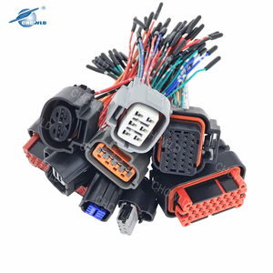 Nhà Sản Xuất Chuyên Nghiệp Tùy Chỉnh Sản Xuất Tất Cả Các Loại Thiết Bị Kết Nối Dây Lắp Ráp Cáp Và Ô Tô Dây Nịt - Product Image 4