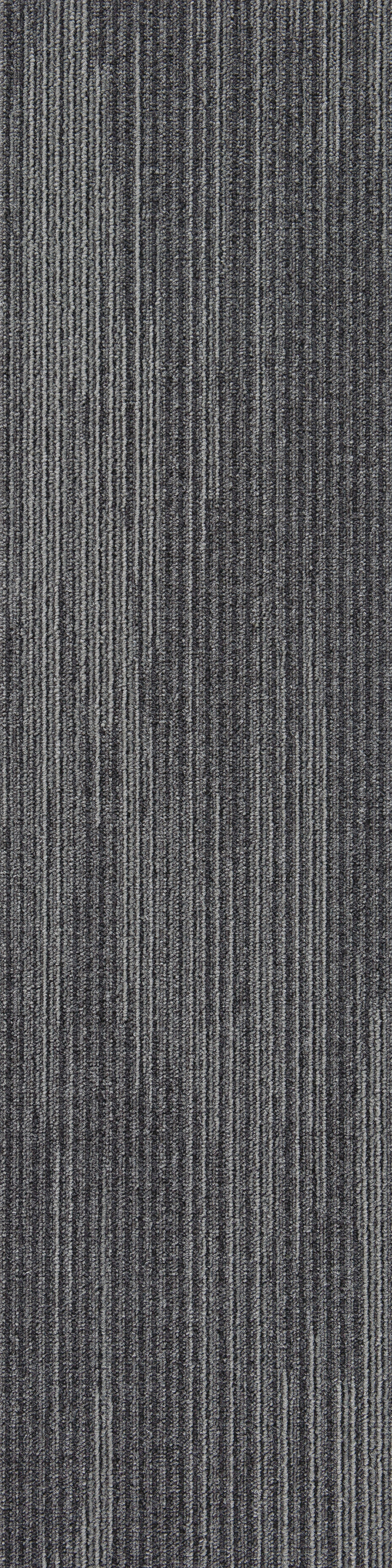 Grey12