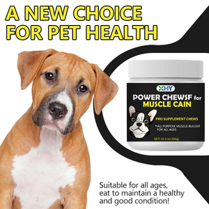 مكملات غذائية لزيادة وزن الكلاب بعلامة تجارية خاصة، تدعم صحة الحيوانات الأليفة، أقراص طرية مع مزيج من الفطر - Product Image 4