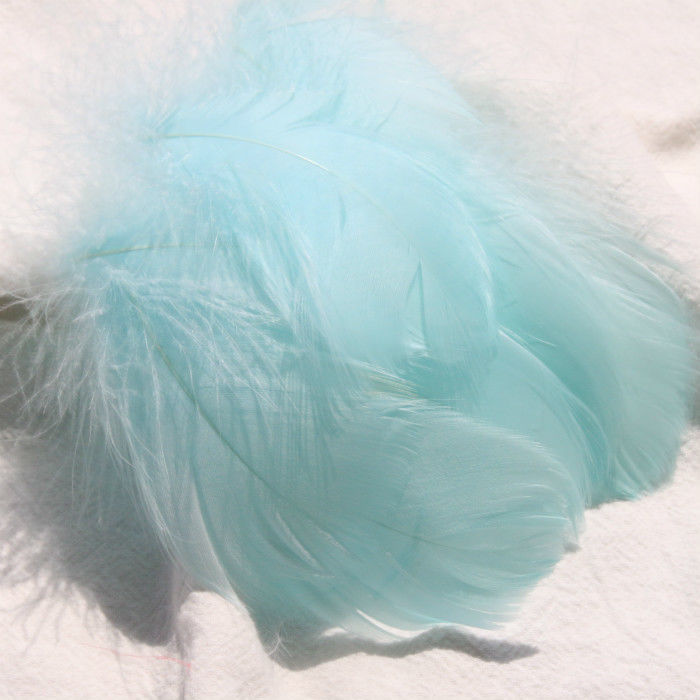 Bleu clair