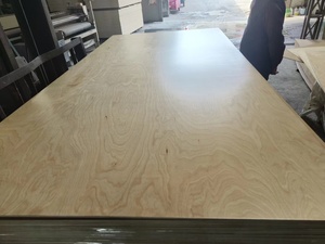 Giá Rẻ Giá 9Mm/12Mm/18Mm 1220*2440Mm Bạch Dương Ván Ép Tấm Với Carb Cho Đồ Nội Thất Trang Trí - Product Image 5