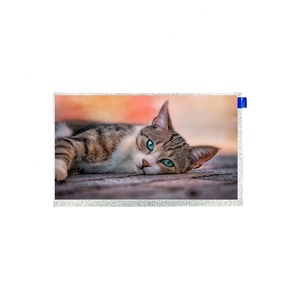 Moduli LCD da 7 pollici TFT con retroilluminazione a LED ip e pannelli Touch Display TN con interfaccia LVDS e RGB - Product Image 6