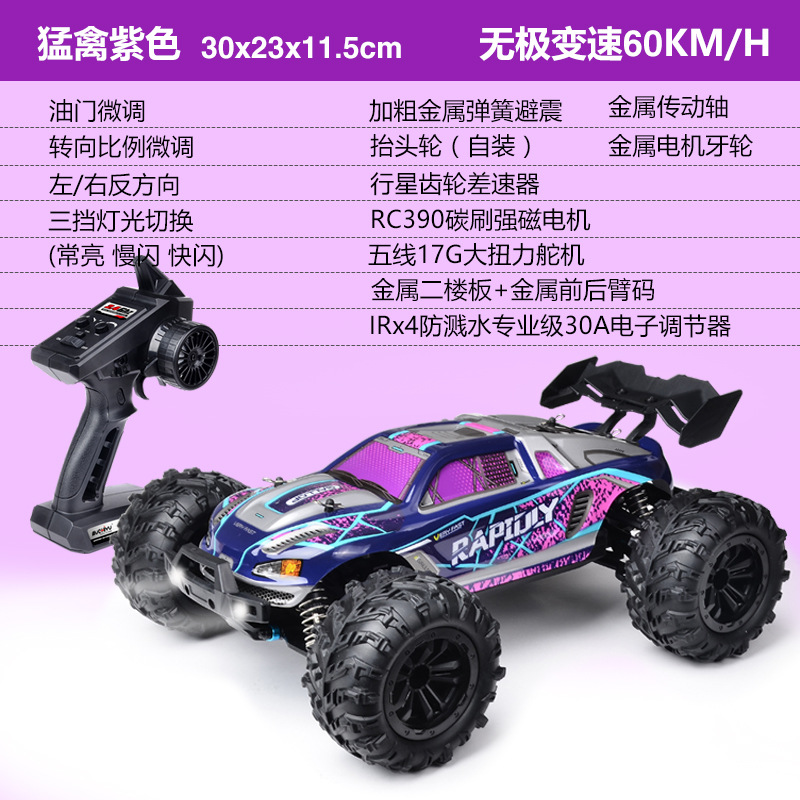 Raptor RC profesional morado