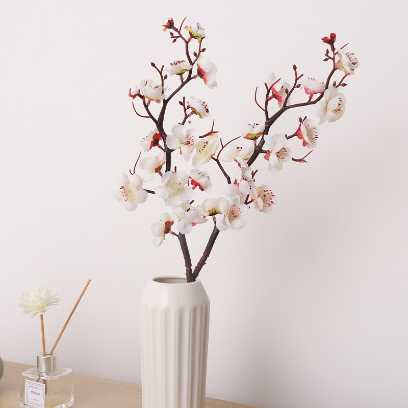 Fleur de prunier blanc, simple
