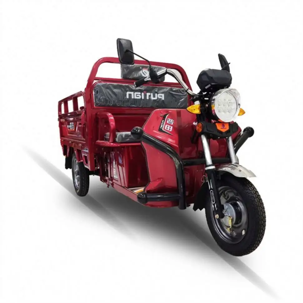 In Low Price 7-9H Electric Tricycle Cargo Motorcycle 3 Wheel With New Design