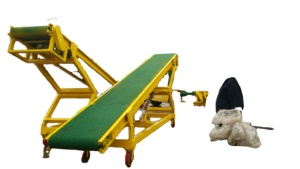 Máquina de pesaje y embolsado de dos líneas en el contenedor móvil - Product Image 6