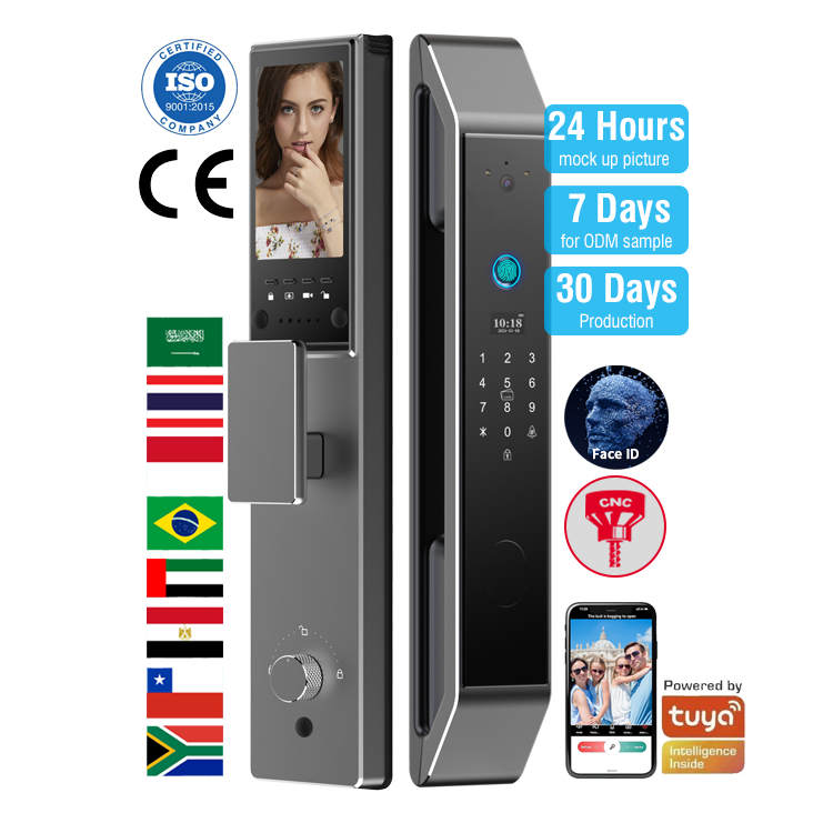 ZC8 Gris ODM OEM Empreinte Digitale Mot de Passe Carte Clé Reconnaissance Faciale APP FCC