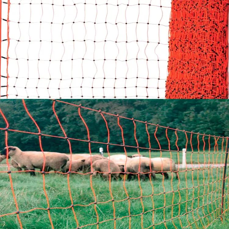 Elétrica Aves PVC Revestido Euro Cerca de Malha de Arame Holland Para Cabra Gado Vaca Grande Animal de Fazenda