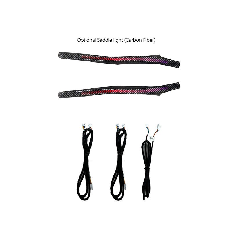 Optional Saddle light (Carbon Fiber)
