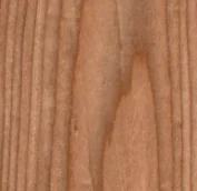 Grain de bois