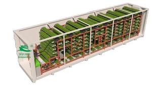Sistema di controllo automatico idroponico lattuga microgreen con integratore coltiva sistema di illuminazione automatizzato impianto fabbrica contenitore farm - Product Image 5