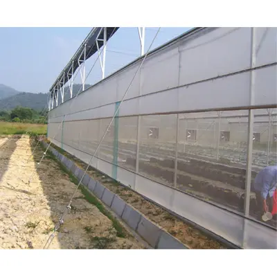 経済的な農業用キノコ使用フィルム温室