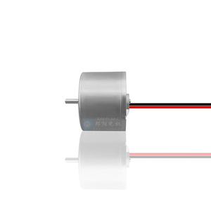 <strong>BL</strong>-2418H Single <strong>Motor</strong> Electric DIY Manual Toy Built-in Drive Can Be Closed-Loop Controlled Micro <strong>DC</strong> <strong>Motor</strong>