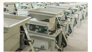 Hazelnut <strong>Shelling</strong> <strong>Machine</strong> <strong>Sorting</strong> Palm <strong>Kernel</strong> Crushing Processing Line Almond Sheller Price - Product Image 3