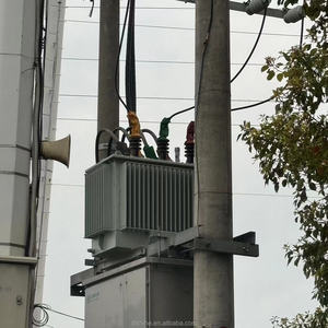 Trasformatore di distribuzione impregnato di olio trifase 250kva 10KV 11KV 35KV 380V 400V 60Hz uscita di ingresso di frequenza 132KV 400KV - Product Image 1