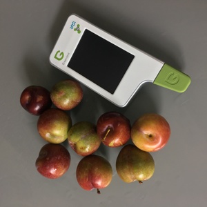 เครื่องตรวจจับไนเตรตแบบดิจิตอลแบบพกพาสำหรับ Greentest2F Chincan สำหรับผักผลไม้และเครื่องทดสอบเนื้อไนเตรต - Product Image 4