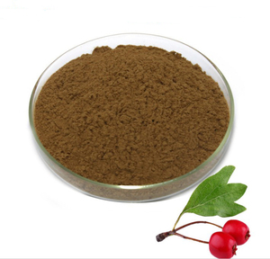 Hawthorn Berry Extract Flavonoid 20% 50% 80% Bột Số Lượng Lớn - Product Image 4