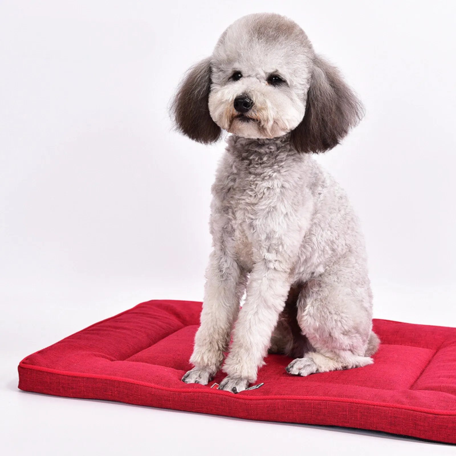 Kırmızı Bite dayanıklı keten pamuk köpek yatağı yatak sandık için tüm köpekler için Pet Mat yastık