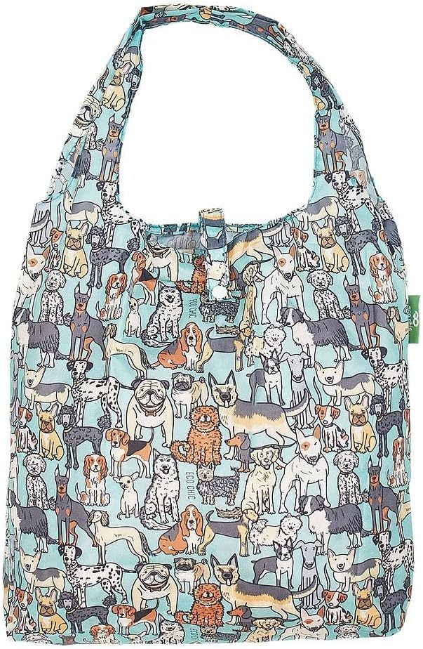 Perros Teal