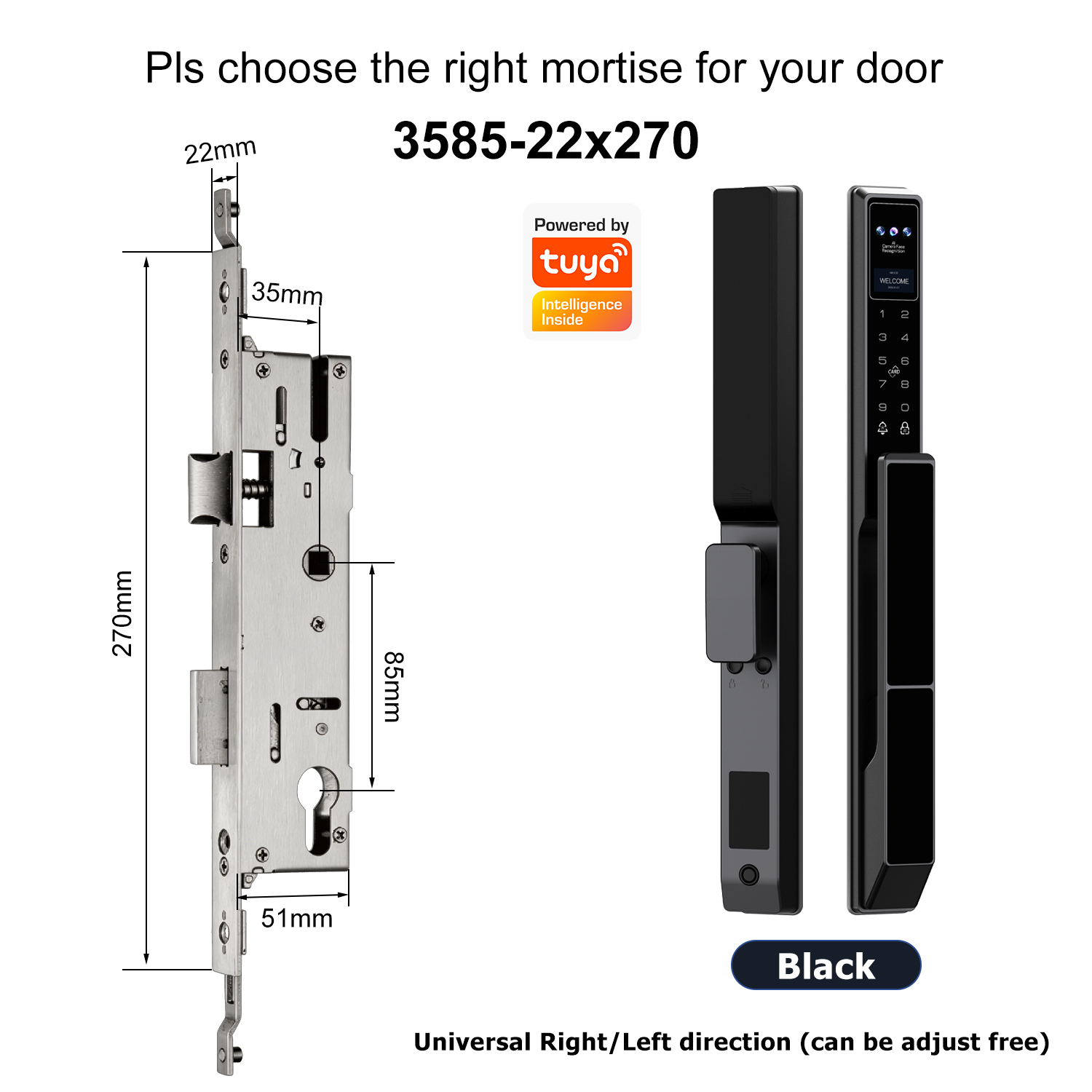 Z5 with 3585 Swing Multi-point Mortise(22x270mm)