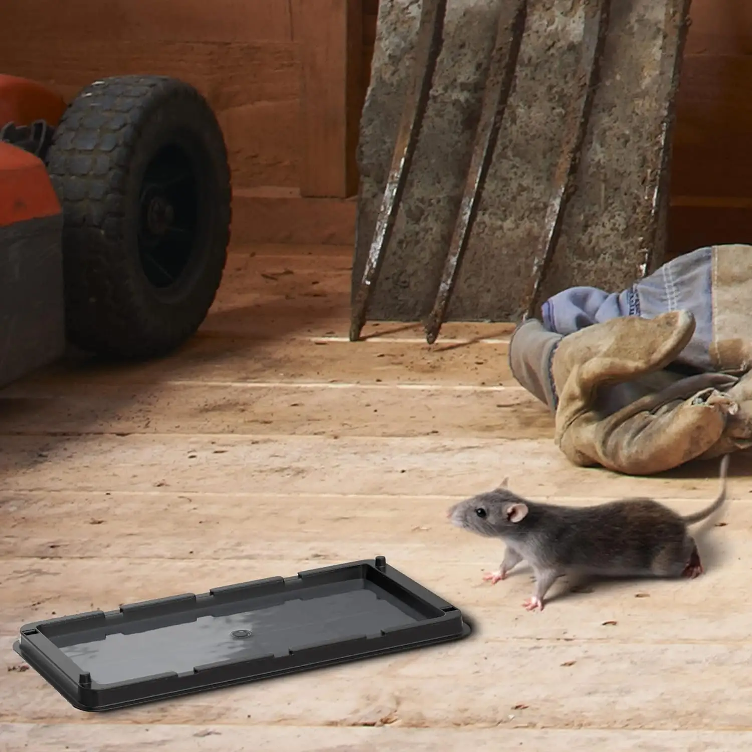 Catchmaster Rat Insect Sticky Glue Board Set Effective Rodent Pest Control Indoor Pest Repellent