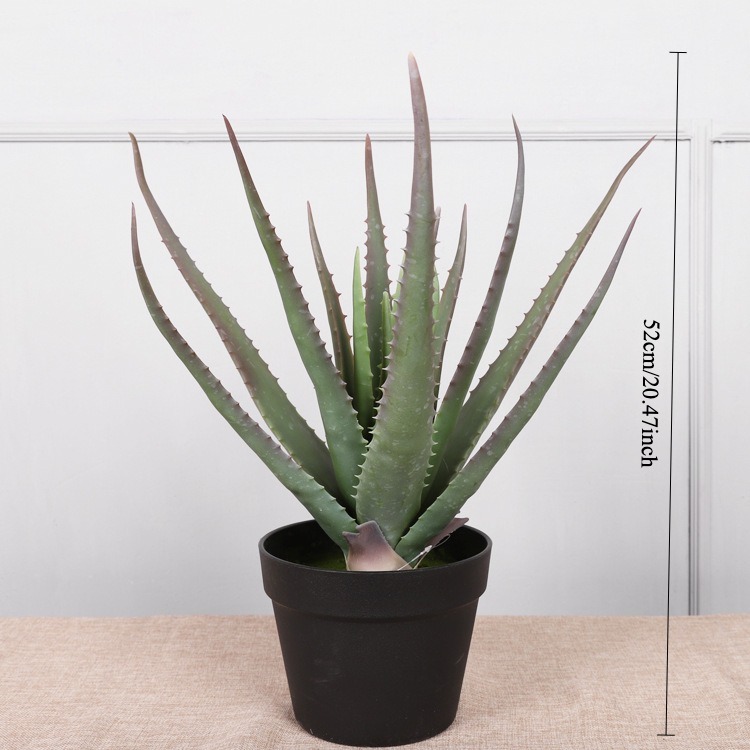 52cm(20.47in)