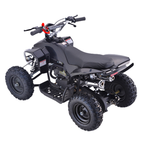 High Quality Mini <strong>Quad</strong> 49CC <strong>Quad</strong> 50CC Is Suitable for Children - Product Image 3