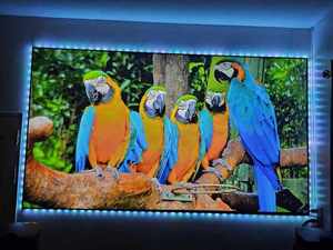 Cinema-Level Wupro Pantalla de proyección de cristal gris PET suave de 100 pulgadas 4K UHD Efecto 3D Pantalla de proyector de marco fijo para cine en casa - Product Image 2
