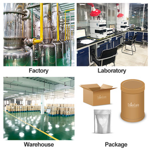 Factory Price Natural Cosmetic Ingredients <strong>Uva</strong> <strong>Ursi</strong> Extract Powder Alpha Arbutin - Product Image 2