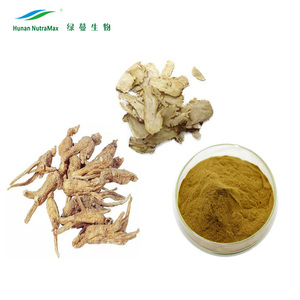 Free Samples Dong Quai Root Dong Quai Powder Dong Quai Extract Powder - Product Image 1