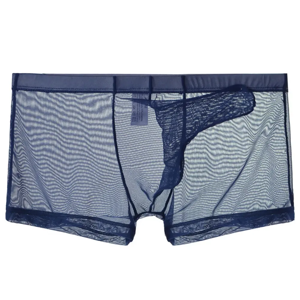 Sexy Men Transparente Trunks Unterwäsche Ultra dünne durchsichtige Boxershorts Mesh Elephant Nose Panties Atmungsaktiver Homme Slip