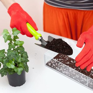 15.7英寸亚克力透明矩形花瓶桌花卉摆件，用于家居装饰和婚礼，无鲜花 (2件)
