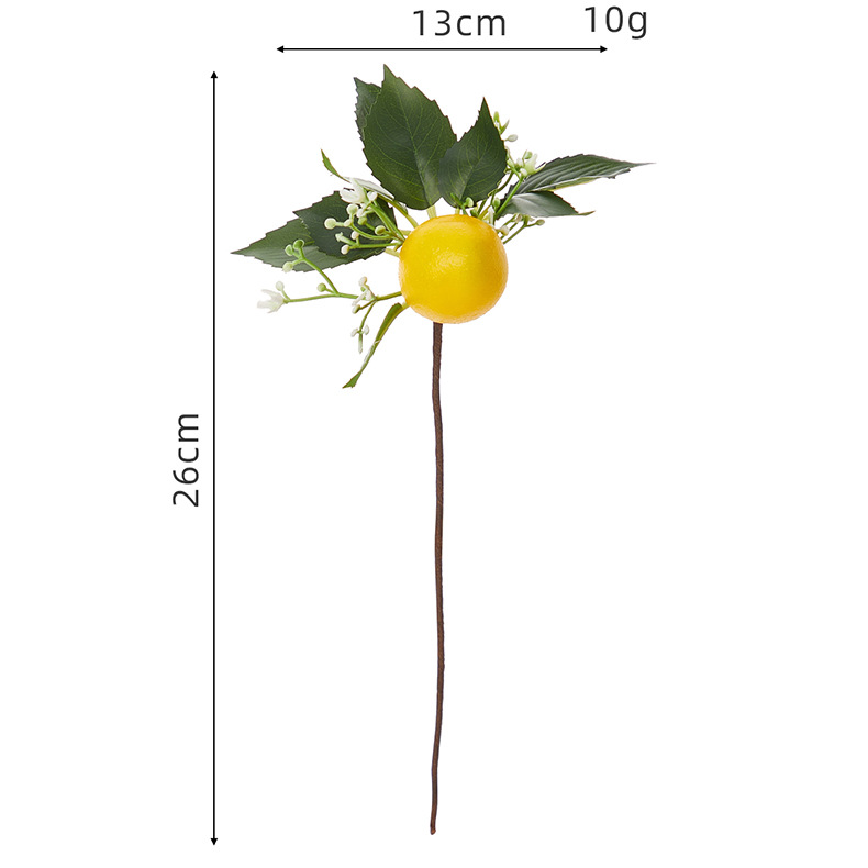 Single Lemon Cutting