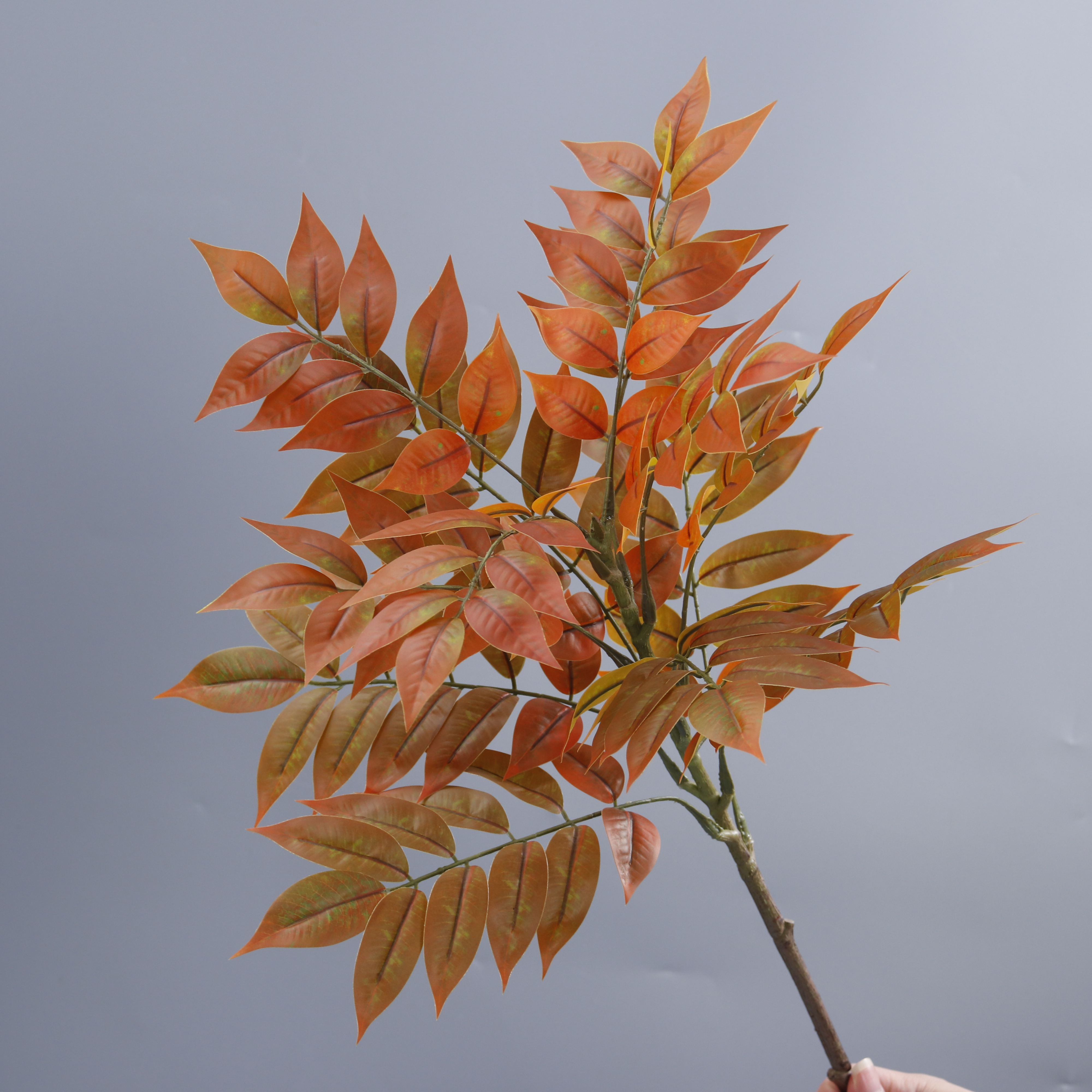 13-head Red Single-stem
